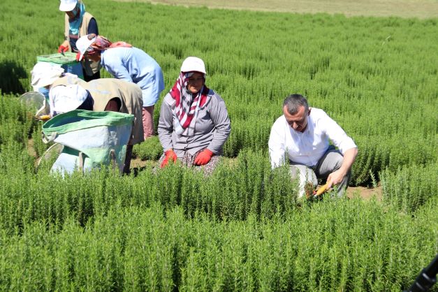 Kentsel tarım araştırmaları işbirliği protokolü imzalandı