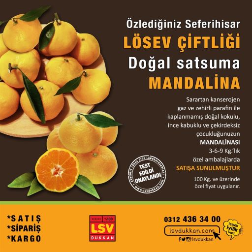 Kilim Kafenin İyilik Hareketi Kocaeli'nde Hızla Yayılıyor