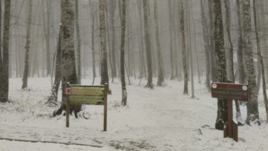 Eriklitepe Beyaz Örtüyle Kaplandı