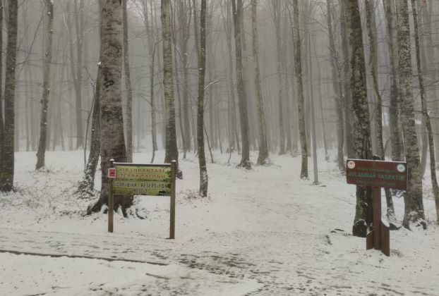 Eriklitepe Beyaz Örtüyle Kaplandı