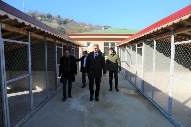Gölcük Sokak Hayvanları Rehabilitasyon Merkezi İnşaatı Tamamlandı