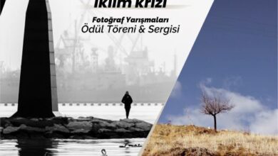 Gölcük ve İklim Krizini En İyi Yansıtan Kareler Ödüllerine Kavuşuyor