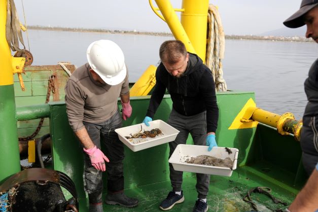 İzmit Körfezi’nde biyoçeşitliliğin tespiti