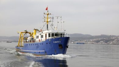 İzmit Körfezi’nde biyoçeşitliliğin tespiti
