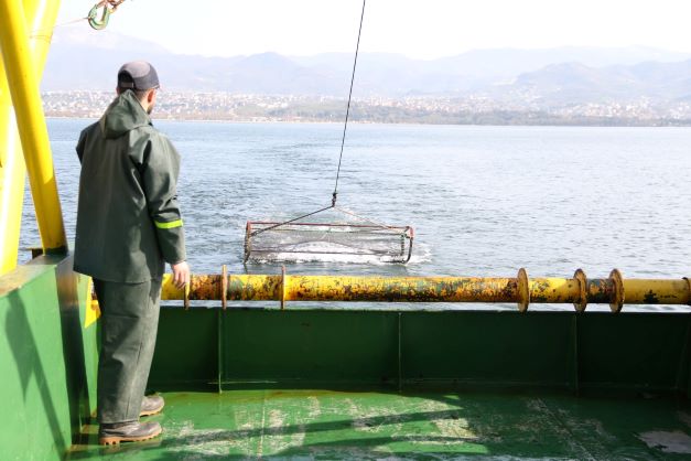 İzmit Körfezi’nde deniz yaşamı kayıt altında