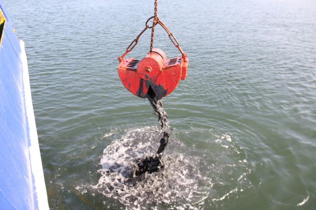 İzmit Körfezi’nde deniz yaşamı kayıt altında