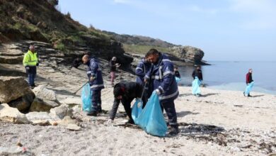 Kocaeli’nin en güzel koylarından Sardala’ya yakın takip