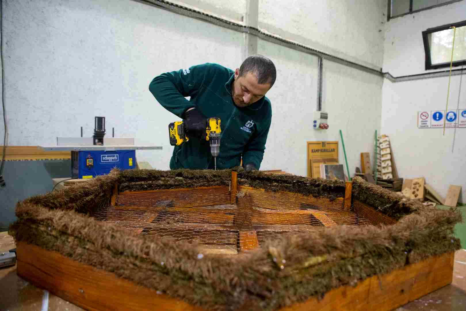 Ormanya’dan engelli leylekler için özel proje
