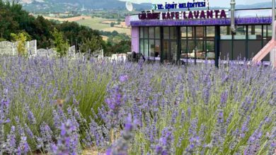 Gülümse Kafe Lavanta ‘yaza merhaba’ dedi