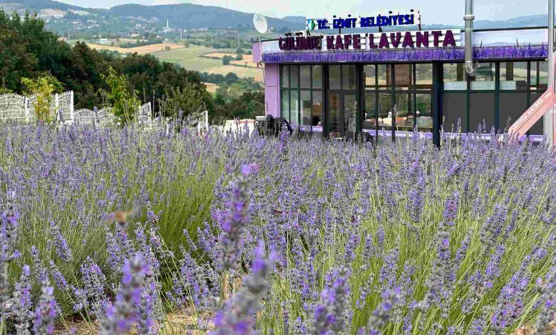 Gülümse Kafe Lavanta ‘yaza merhaba’ dedi