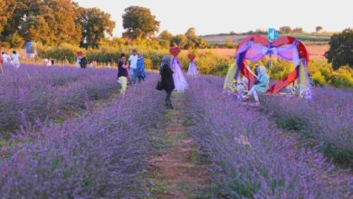 İzmitliler büyüleyici atmosferiyle Lavanta Şenliklerinde buluştu