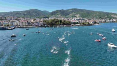 Ulusal Açık Su Yüzme Yarışları