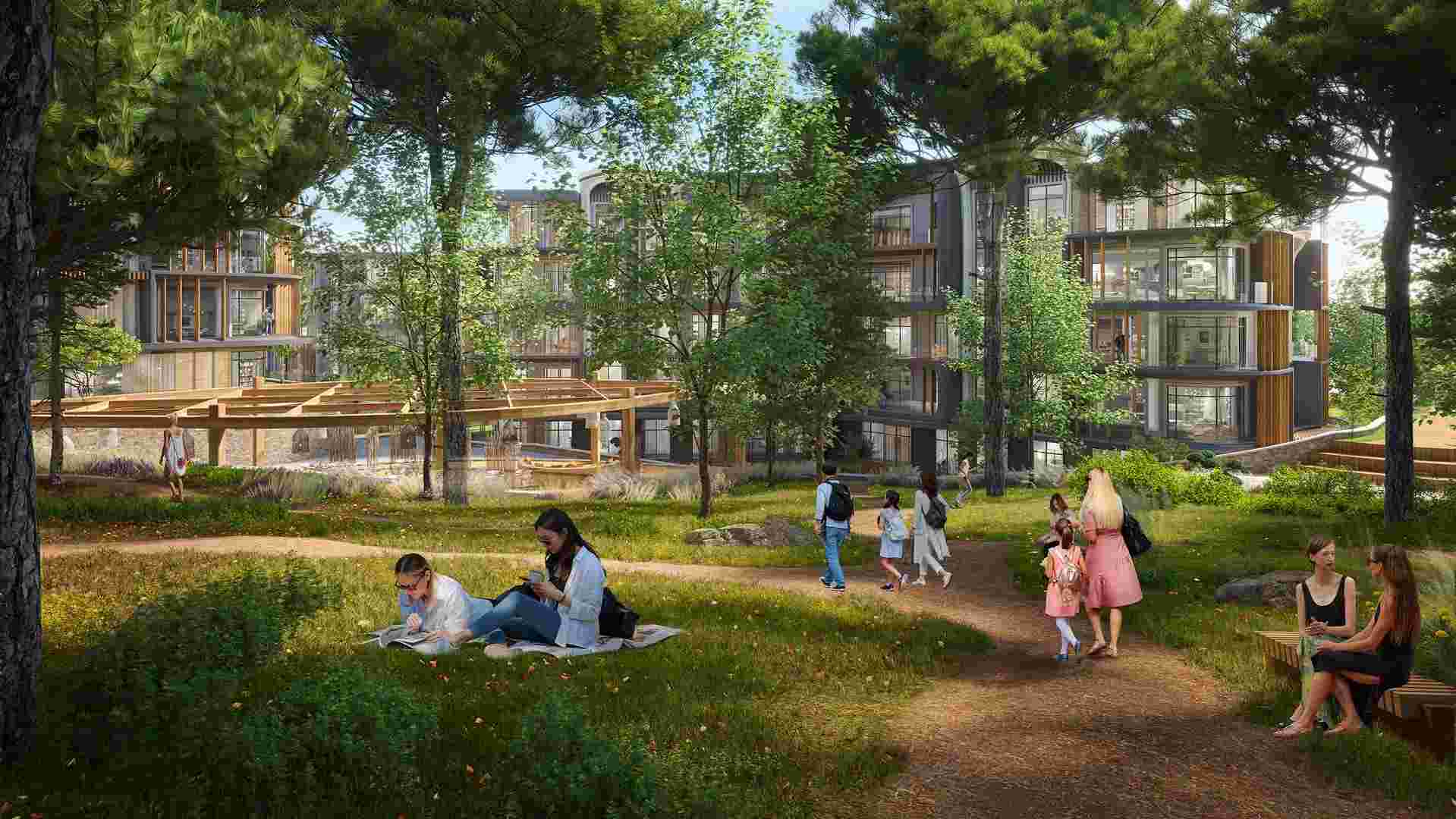 Zeray Dilasa Orman projesi