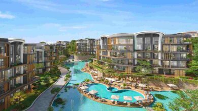 Zeray Dilasa Orman projesi