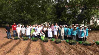 “Özel bireyler” aromatik bitkilerle rehabilite ediliyor