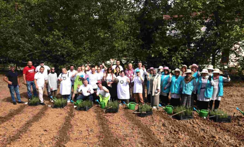 “Özel bireyler” aromatik bitkilerle rehabilite ediliyor