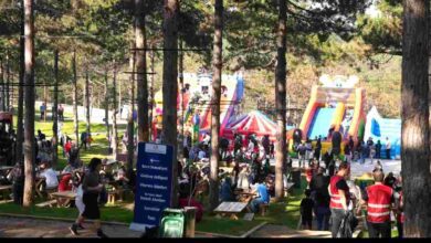 Hyundai Aile Pikniği