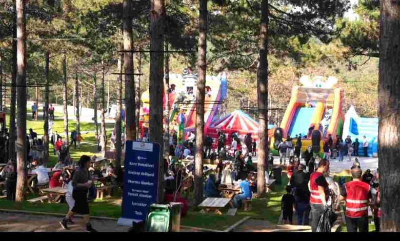 Hyundai Aile Pikniği