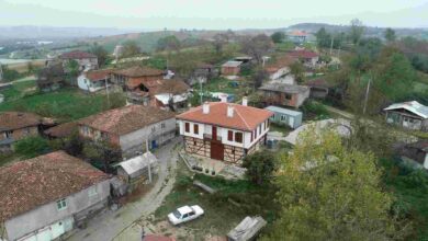 Beşdivanlı Rıza Bey Konağı