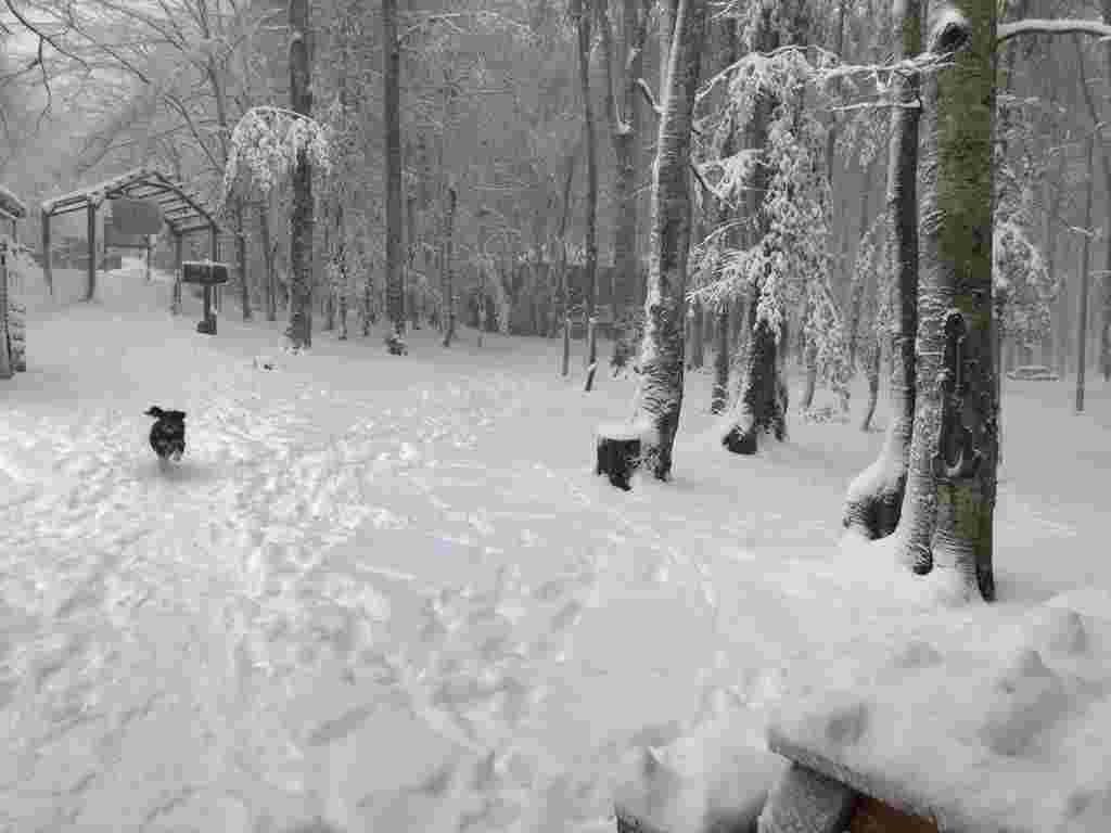 Eriklitepe beyaz örtüye büründü