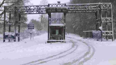 Eriklitepe Tabiat Parkı