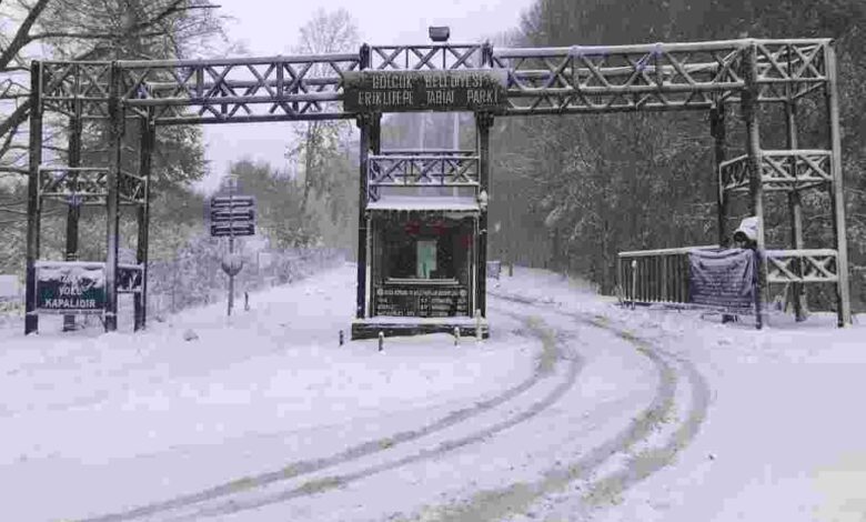 Eriklitepe Tabiat Parkı