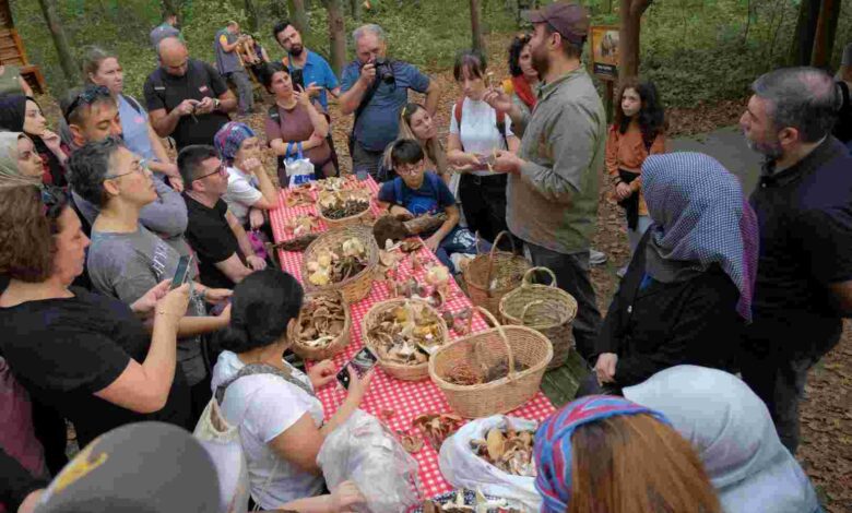Ormanya’da mantar avı düzenlendi