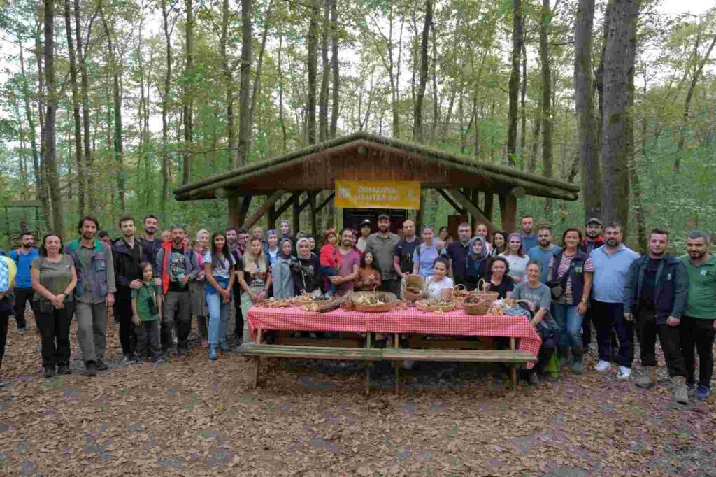 Ormanya’da mantar avı düzenlendi