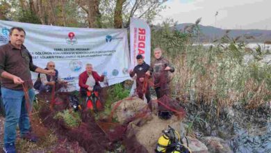 Uluslararası Sazan Balığı Tutma Yarışması Başladı
