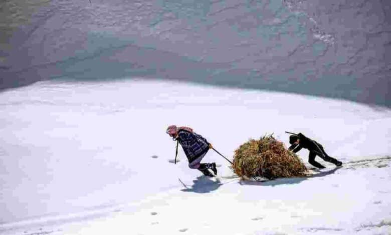 Yardımlaşma” konulu 15.Ulusal Fotoğraf Yarışması sonuçlandı