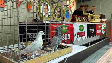 Oyun Kuşu Uçurma Yarışması