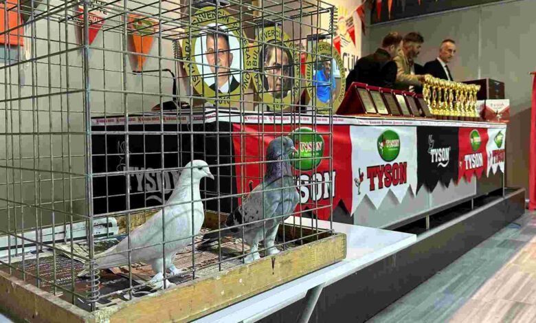 Oyun Kuşu Uçurma Yarışması