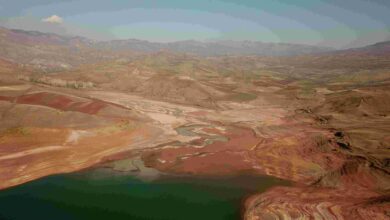 Erzincan İliç’te yaşanan çevre felaketi