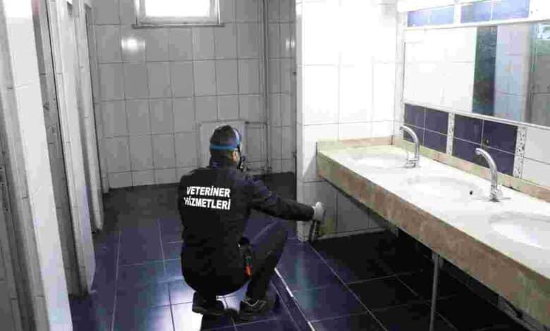 Okullarda ilaçlama çalışmaları tamamlandı