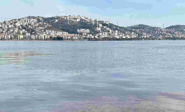 İzmit Körfezi’nde müsilaj yok, kırmızılık mevsimsel geçişten kaynaklanıyor