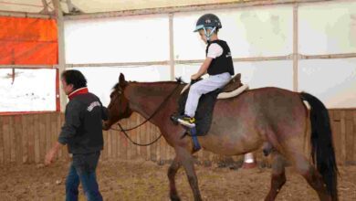 Çocuklara at binme ücretsiz