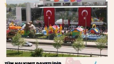 Toyota Plaza Kocaeli Kaya