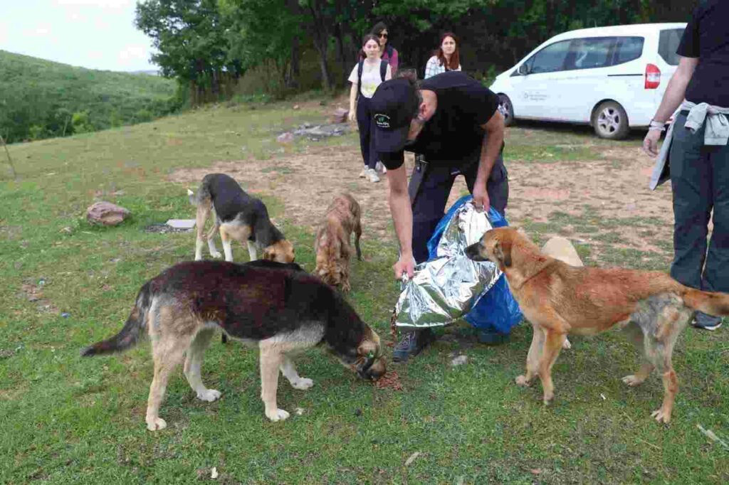 Üniversiteli gençler doğayla buluştu
