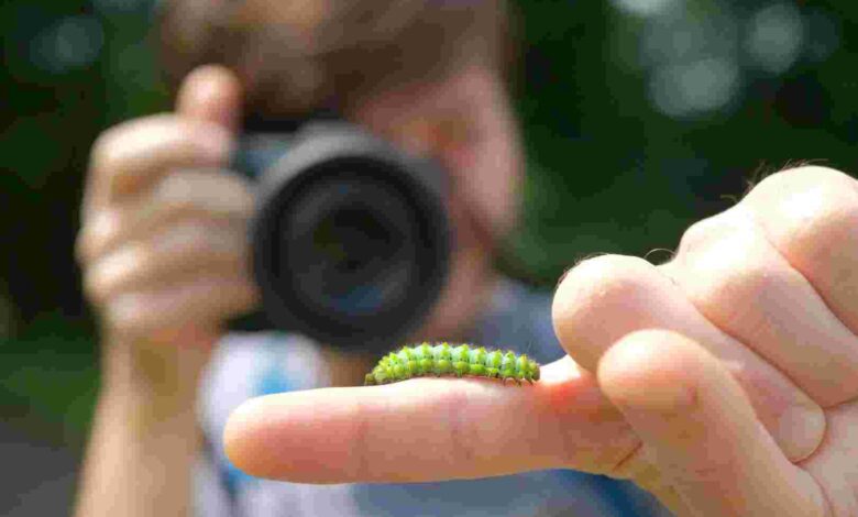 Ormanya “Tür Say!” etkinliğinde 462 gözlem