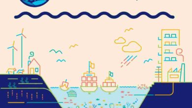 8 Haziran Marmara Denizi Günü