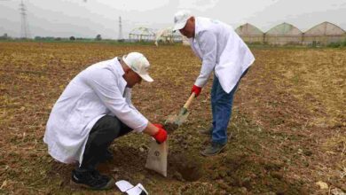 Çiftçilere ücretsiz toprak analizi