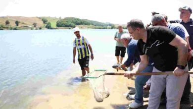 Derince’de İstilacı Balıklar Bertaraf Edildi