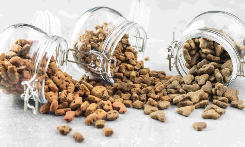 91 ülkedeki patili dostların maması Türkiye’den