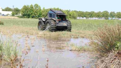 Vektörle mücadelede yaz mesaisi