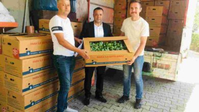 480 bin lahana fidesini vatandaşlara dağıttı