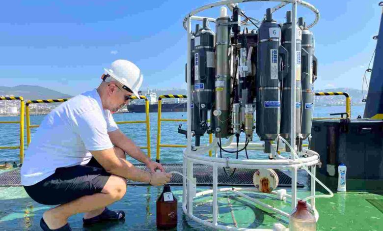 İzmit Körfezi’nde deniz ekosistemi hayat buluyor