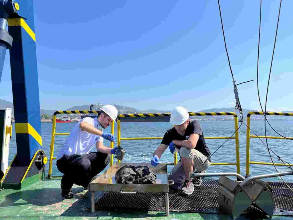 İzmit Körfezi’nde deniz ekosistemi hayat buluyor