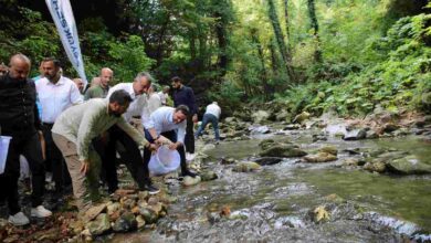 Kirazdere’ye 8 bin adet kırmızı benekli alabalık bıraktı