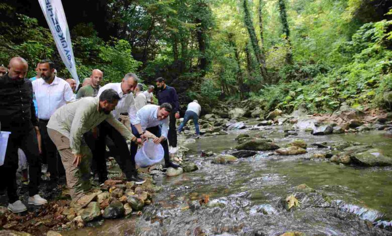 Kirazdere’ye 8 bin adet kırmızı benekli alabalık bıraktı