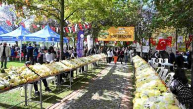 Kartepe'de Coşkulu Ayva Festivali